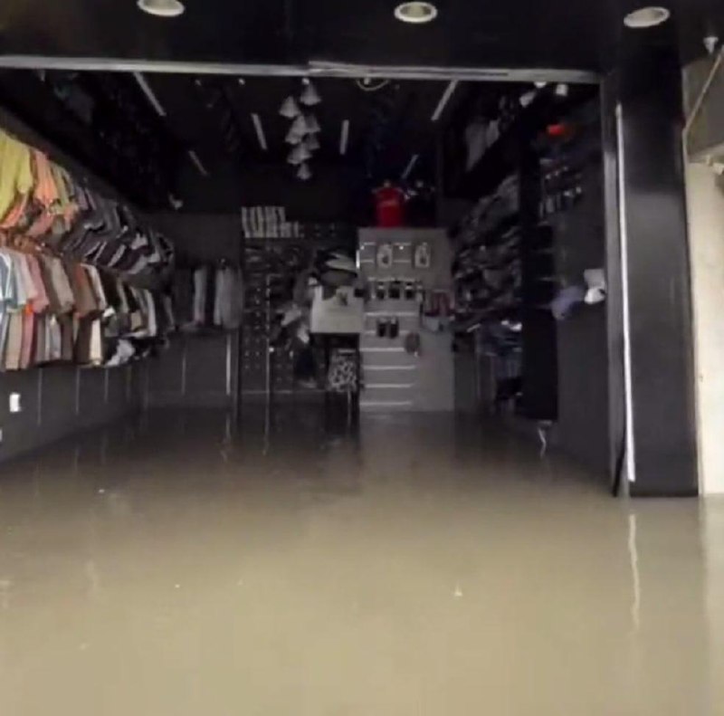 Иллюстрация 2