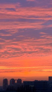 Иллюстрация 5