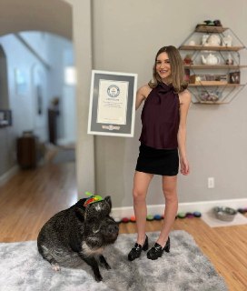 Иллюстрация 2