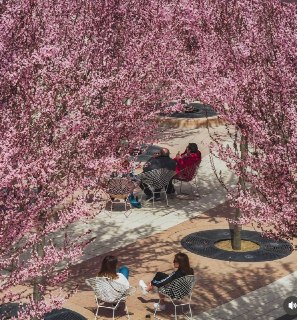 Иллюстрация 4