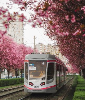 Иллюстрация 5