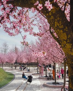 Иллюстрация 7