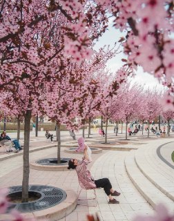 Иллюстрация 8