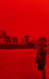 Иллюстрация 3