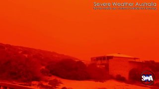 Иллюстрация 2