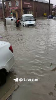 Иллюстрация 1