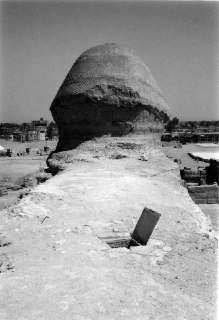 Иллюстрация 1