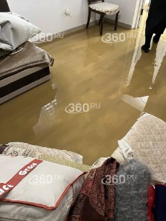 Иллюстрация 2