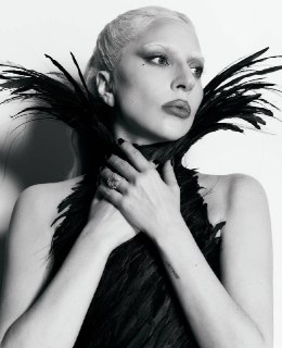 Леди Гага: «Покажите когти и добейтесь того, чего хотите!»