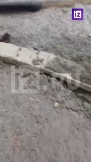 Иллюстрация 1