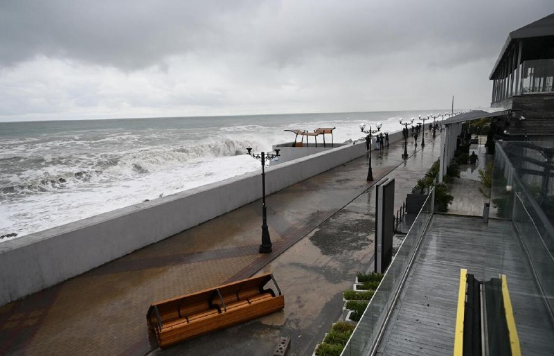 Директор департамента администрации Сочи задержан за взятку в 3,5 млн рублей