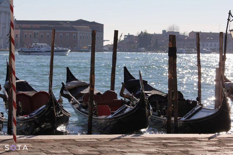 Акция с фото Навального на Венецианской биеннале вызвала протесты