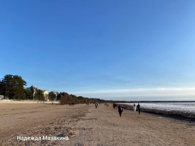 Тёплая погода вывела петербуржцев к воде: пляж стал тротуаром