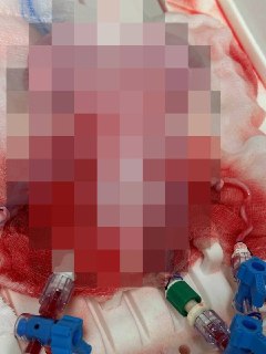 Иллюстрация 3