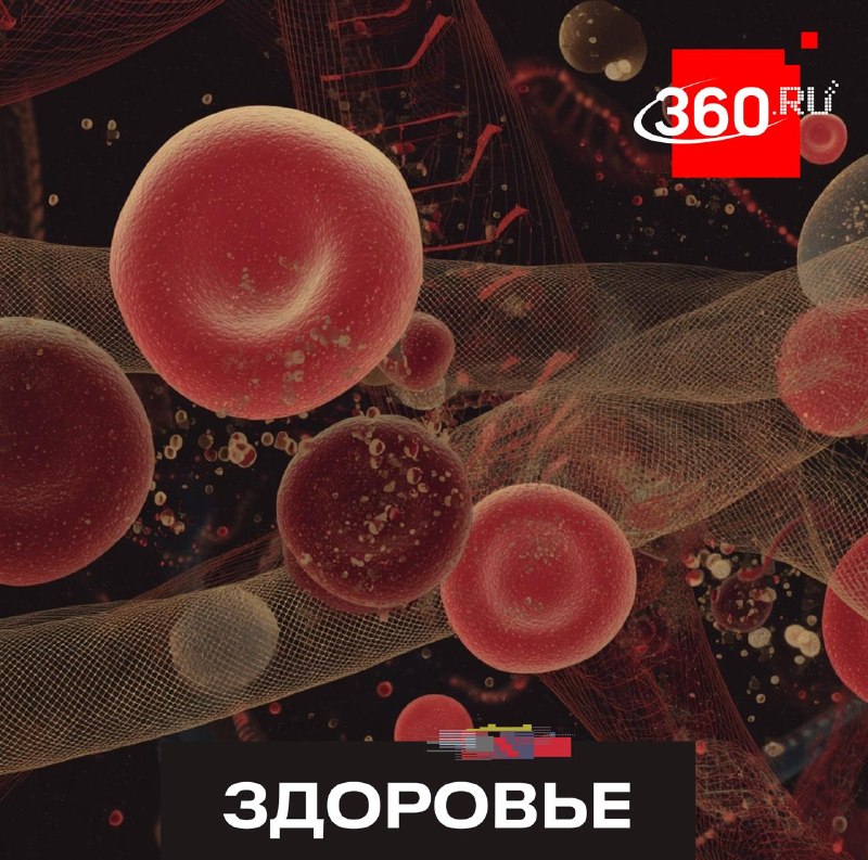 Почему у людей разные группы крови?