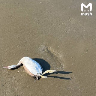 Иллюстрация 3