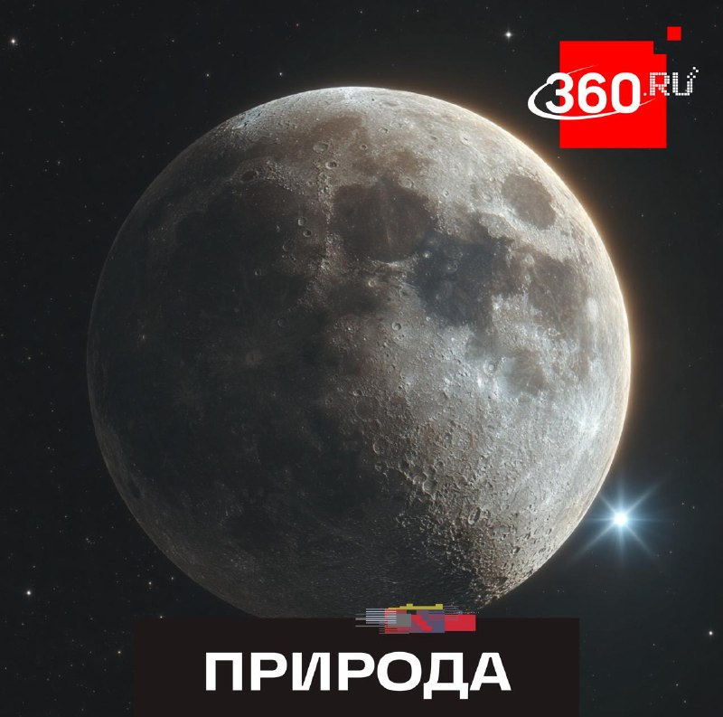 Луна закроет звезду Регул: жители юга России увидят редкое явление