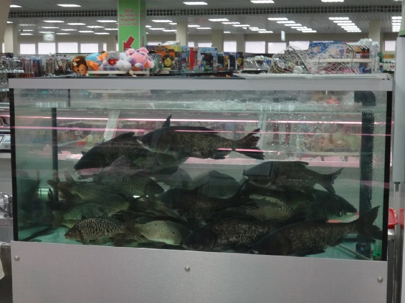 Повар засудил гипермаркет за травму на работе