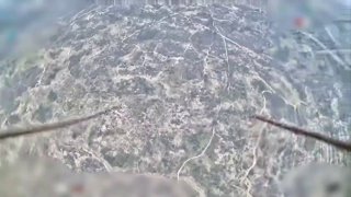 Российский дрон-триер перехватил украинский дрон-камикадзе Darts