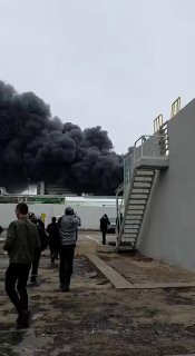 Иллюстрация 2