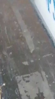 Киркоров закурил в аэропорту Барнаула и пообещал оплатить штраф