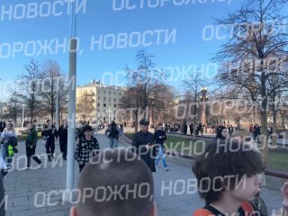 Иллюстрация 1