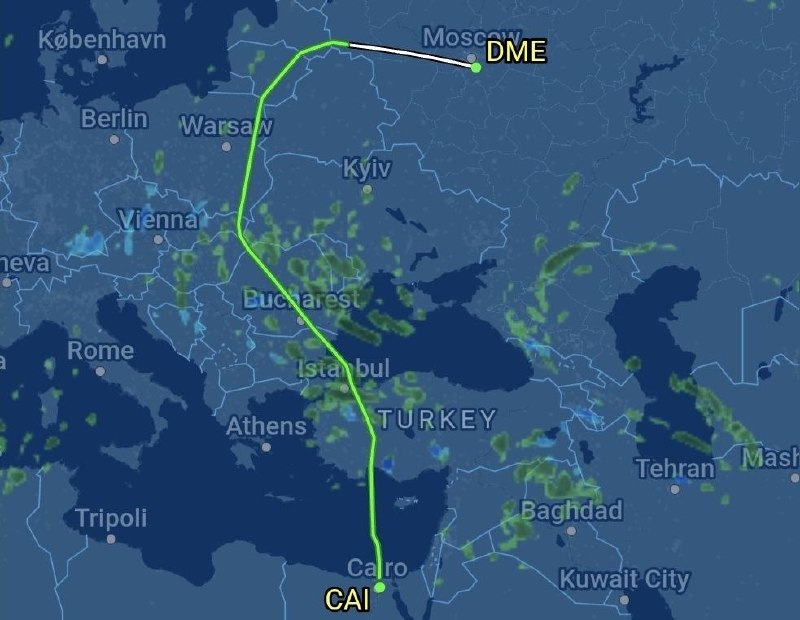 В Москву доставлена вторая группа депортированных из США россиян