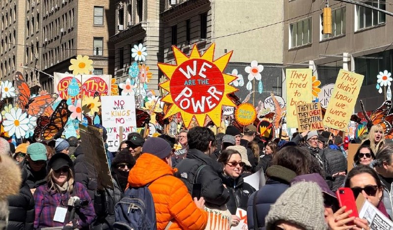 Иллюстрация 4