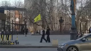 В Воронеже задержан либертарианец за пикет против блокировок интернета
