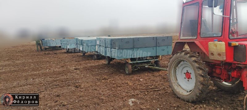 Иллюстрация 5