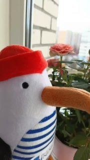 Клариса оказалась Кларком: новая история в проекте «ЗвероПятница»