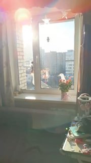 Иллюстрация 1