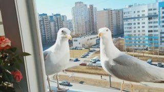 Иллюстрация 2