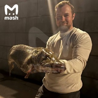 Иллюстрация 3