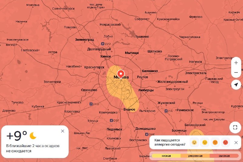 Пик цветения берёзы в Москве сместится на конец апреля из-за тёплой весны