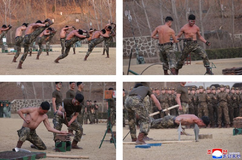 Иллюстрация 3