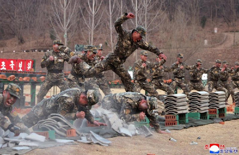 Иллюстрация 4