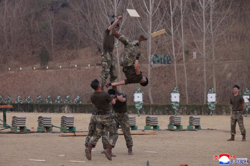 Иллюстрация 5