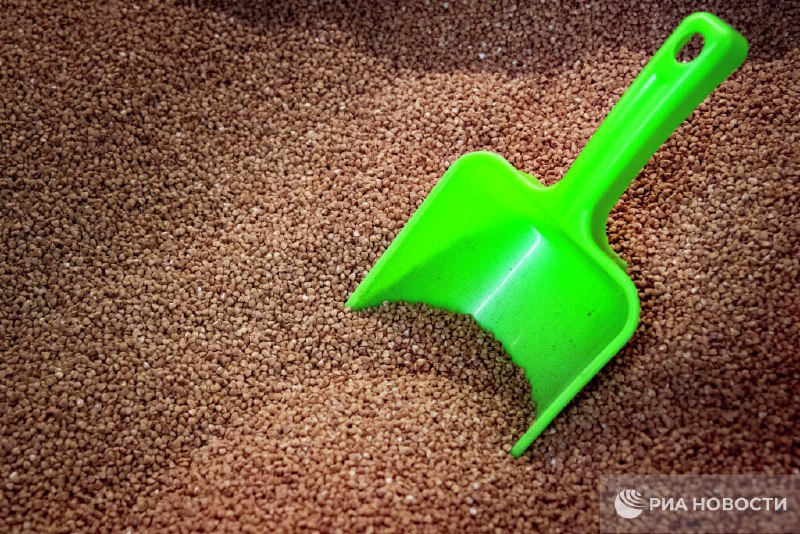 Ученые предупредили о рисках покупки круп на развес из-за насекомых