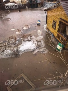 Иллюстрация 4