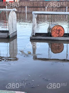 Иллюстрация 5