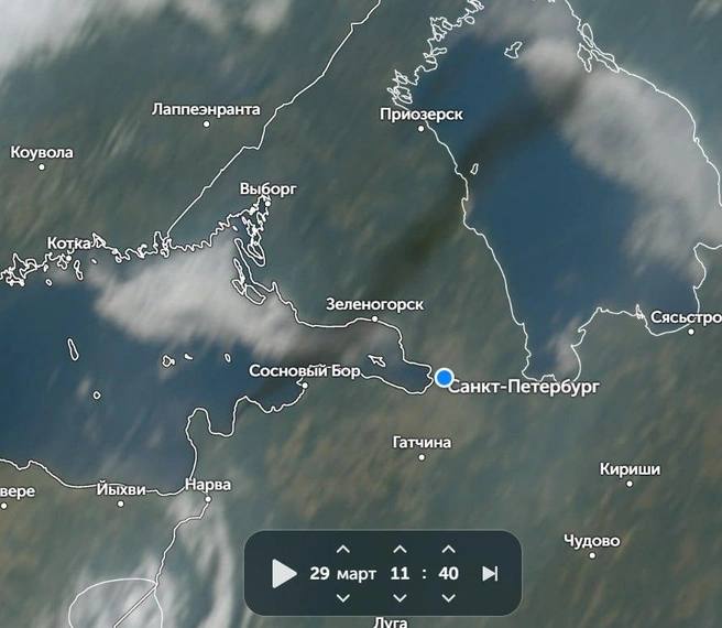 Новое возгорание в Усть-Луге заметили со спутника