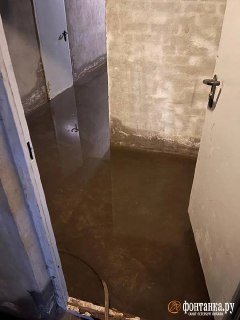 Иллюстрация 1