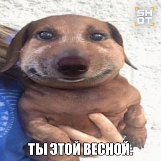 Россияне потратили больше ₽6 млрд на препараты от аллергии из-за ранней весны