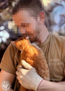 Приглашение фронтовиков присылать фото и видео быта