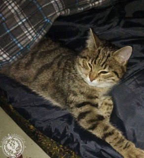 Иллюстрация 3