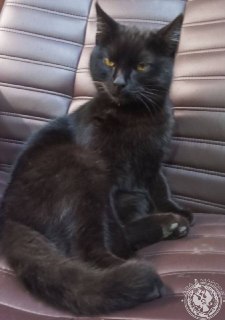 Иллюстрация 5