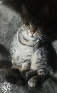 Иллюстрация 6