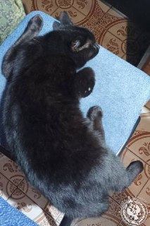 Иллюстрация 7