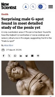 Учёные нашли «точку G» у мужчин: роль обрезания и уздечки